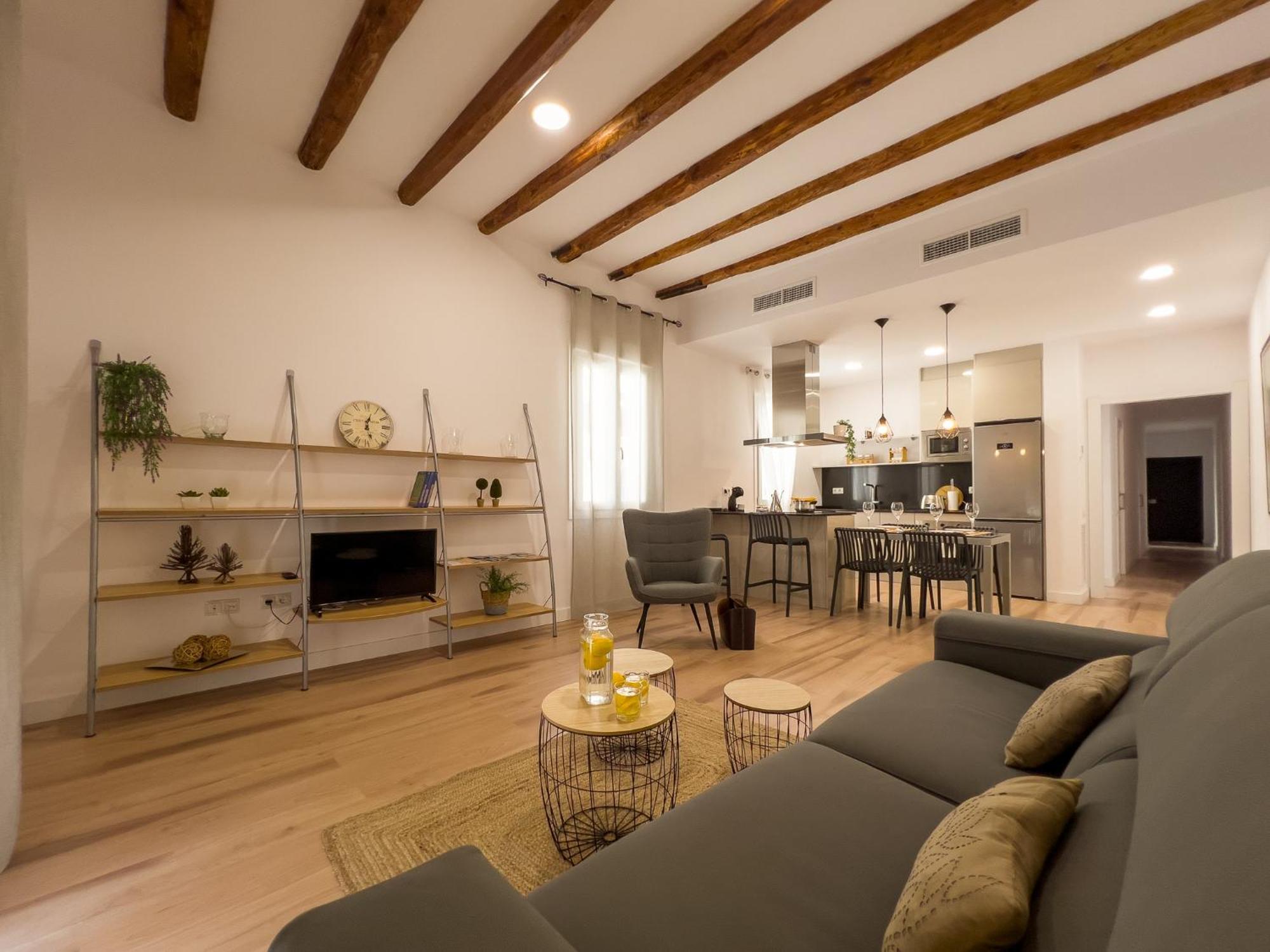 Somos Genius! Exclusivo En Centro Appartement